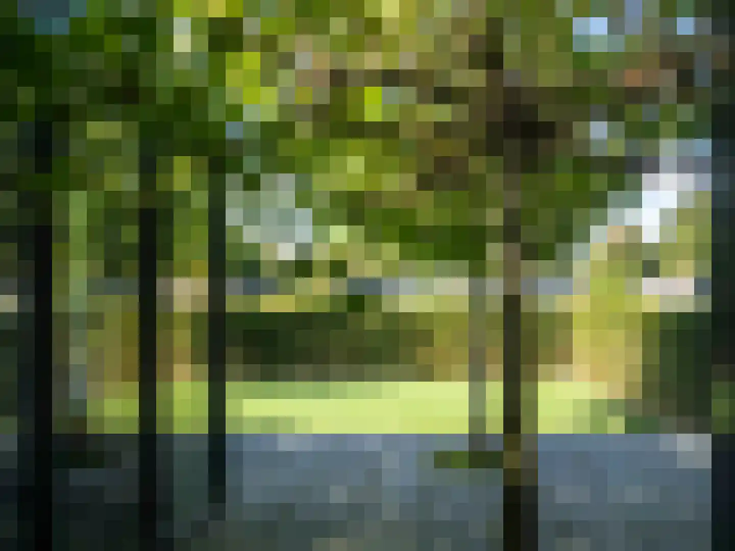 Haspel 29 13 Ermelo thumbnail 23