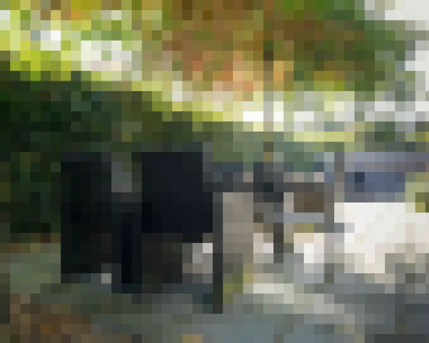 Haspel 29 13 Ermelo thumbnail 24