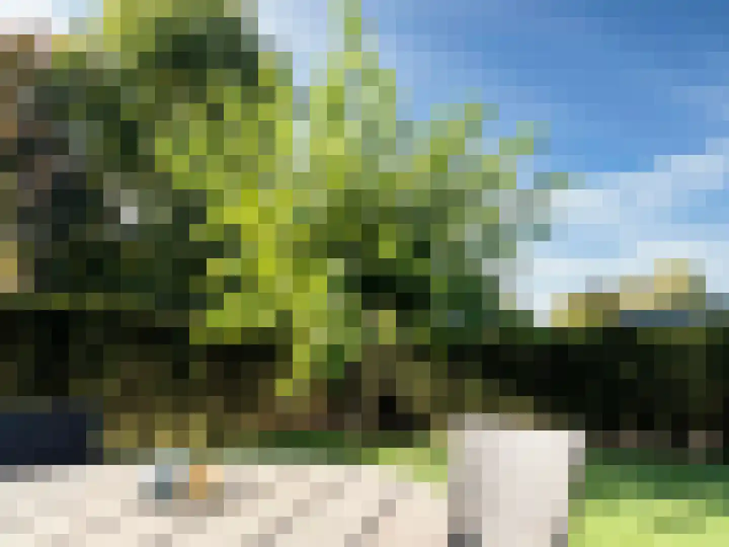 Haspel 29 13 Ermelo thumbnail 26