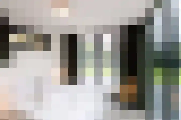 Haspel 29 13 Ermelo thumbnail 8