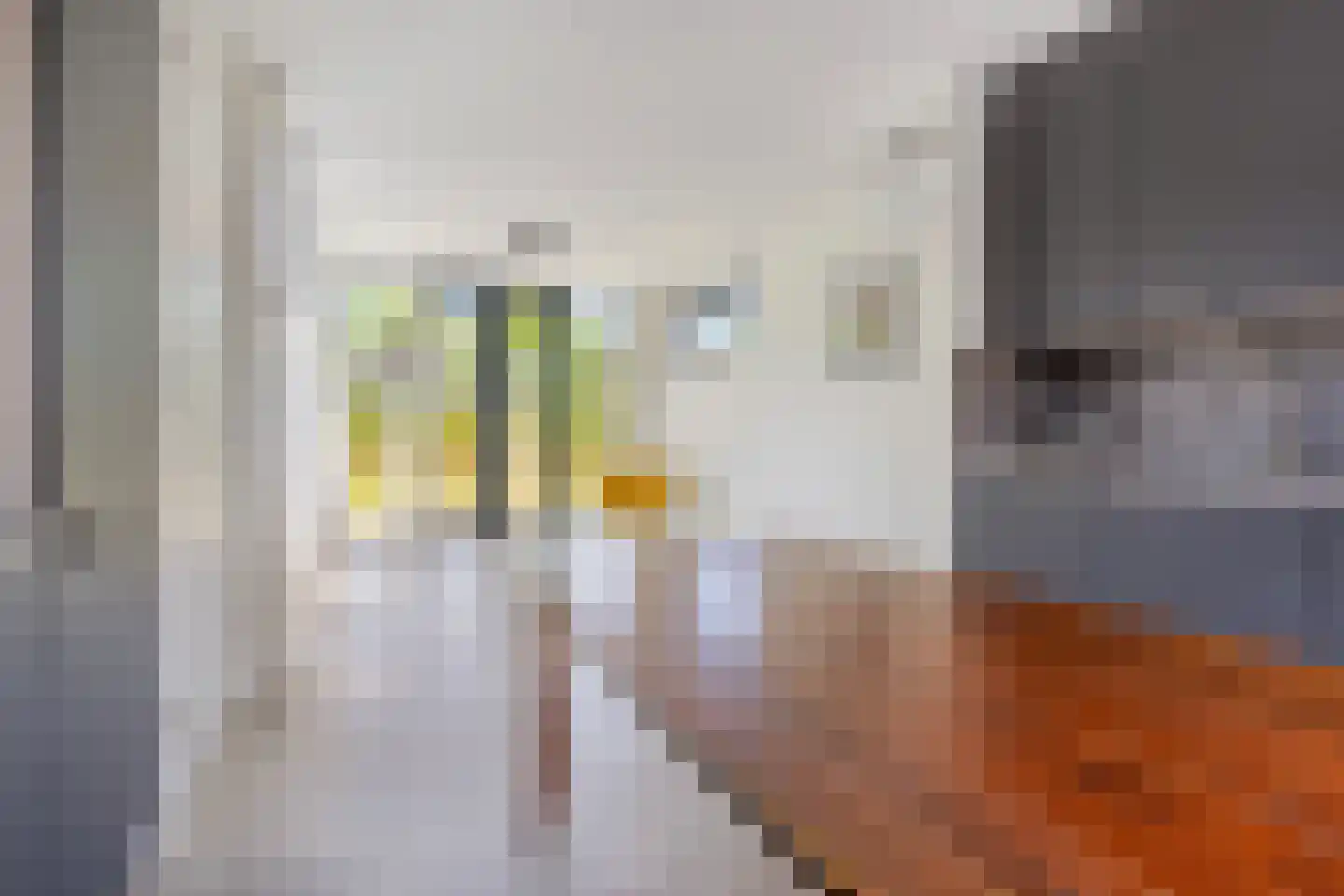 Haspel 29 14 Ermelo thumbnail 13