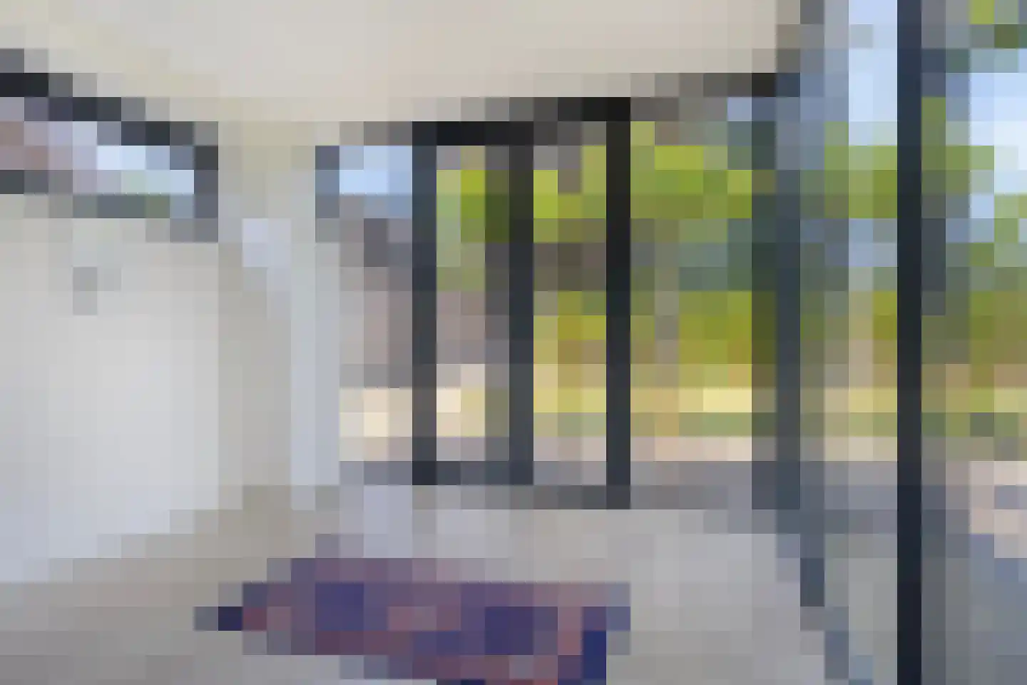 Haspel 29 14 Ermelo thumbnail 16