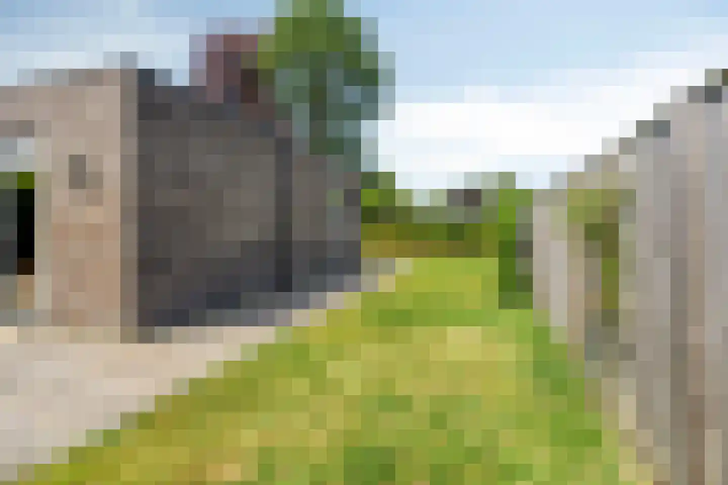 Haspel 29 14 Ermelo thumbnail 25