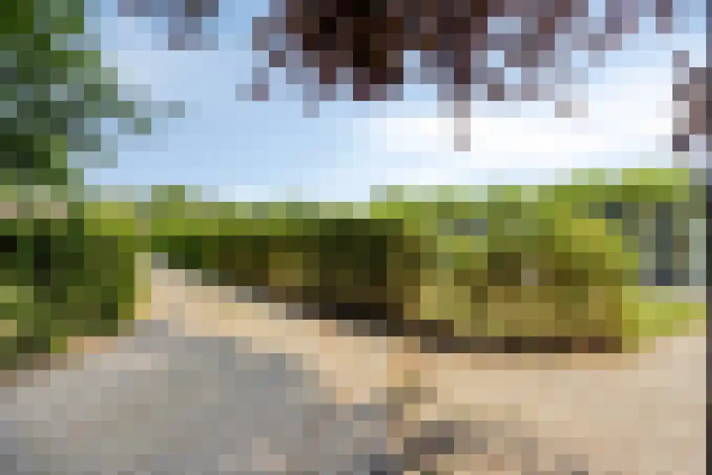 Haspel 29 14 Ermelo thumbnail 5