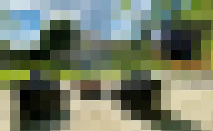 Haspel 29 7 Ermelo thumbnail 38