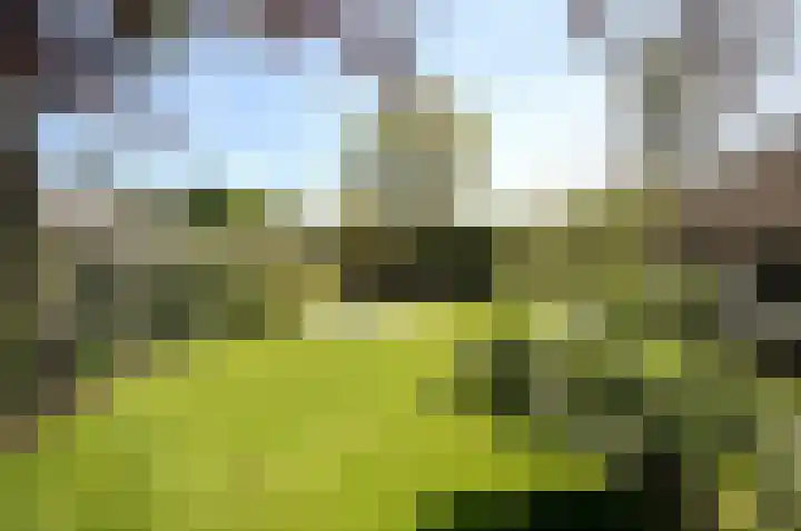 Haspel 29 7 Ermelo thumbnail 7