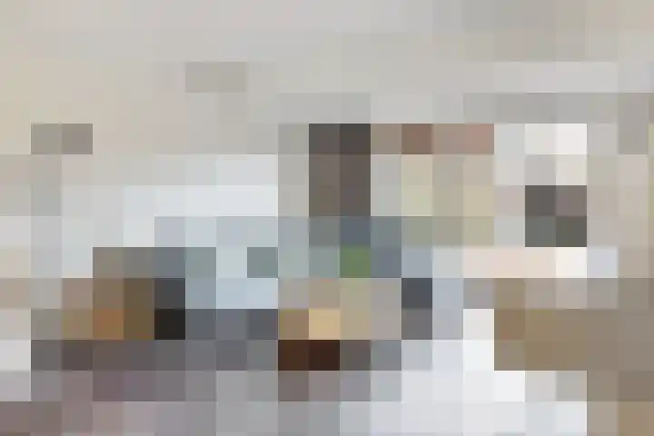 Haspel 8 Beuningen Gld thumbnail 12