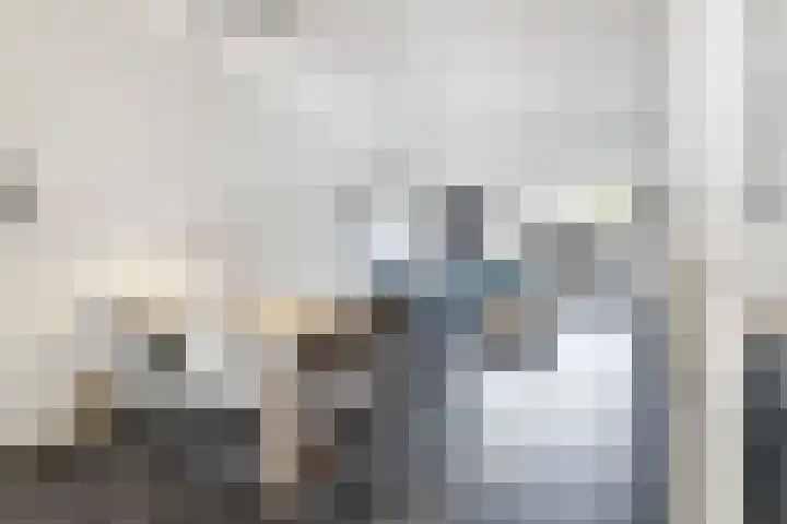 Haspel 8 Beuningen Gld thumbnail 13