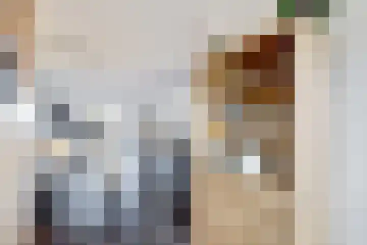 Haspel 8 Beuningen Gld thumbnail 15