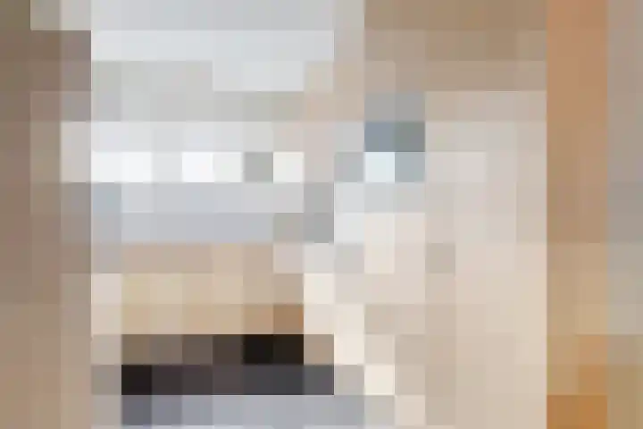 Haspel 8 Beuningen Gld thumbnail 16