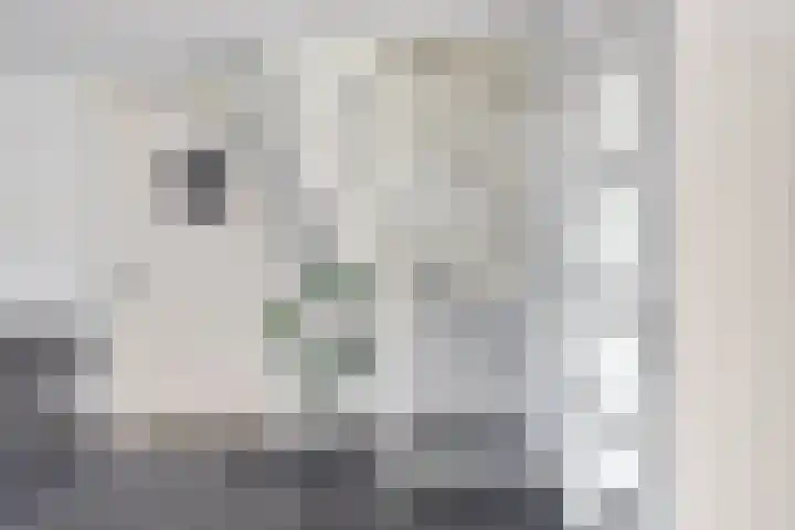 Haspel 8 Beuningen Gld thumbnail 18