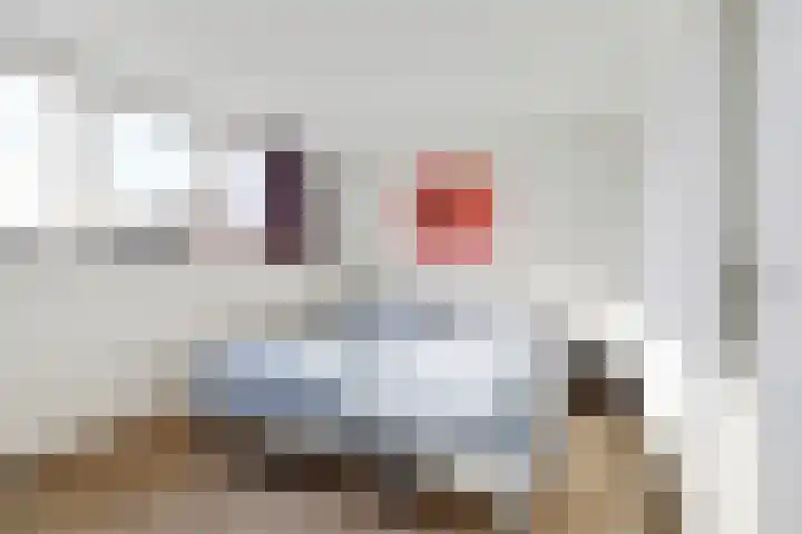 Haspel 8 Beuningen Gld thumbnail 21