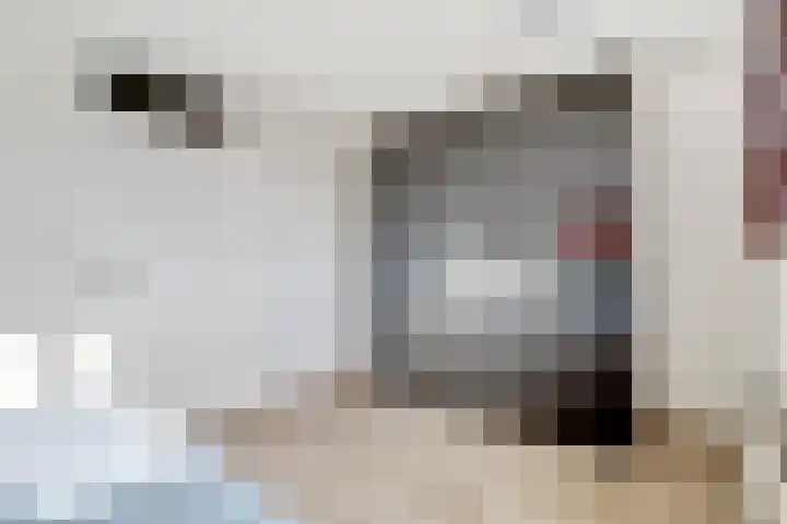 Haspel 8 Beuningen Gld thumbnail 23