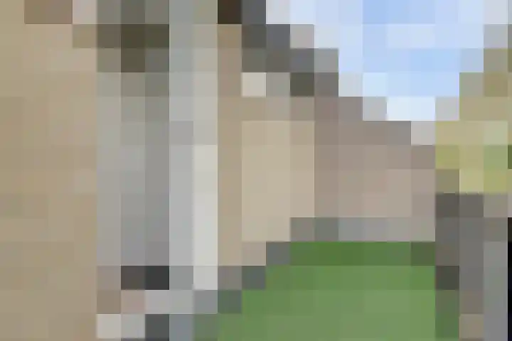 Haspel 8 Beuningen Gld thumbnail 26