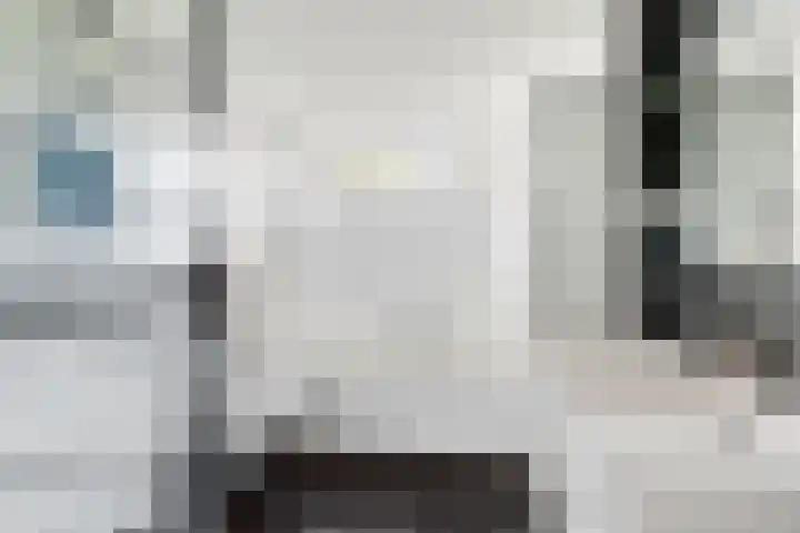 Haspel 8 Beuningen Gld thumbnail 28