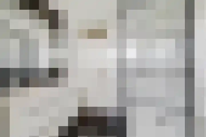 Haspel 8 Beuningen Gld thumbnail 30