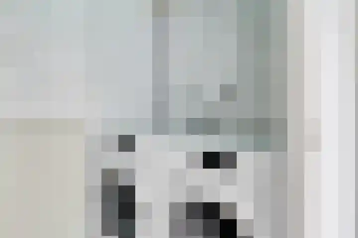 Haspel 8 Beuningen Gld thumbnail 32