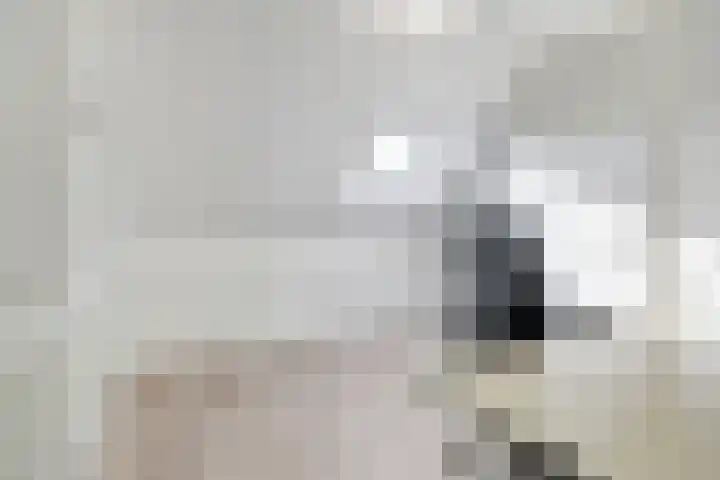 Haspel 8 Beuningen Gld thumbnail 33