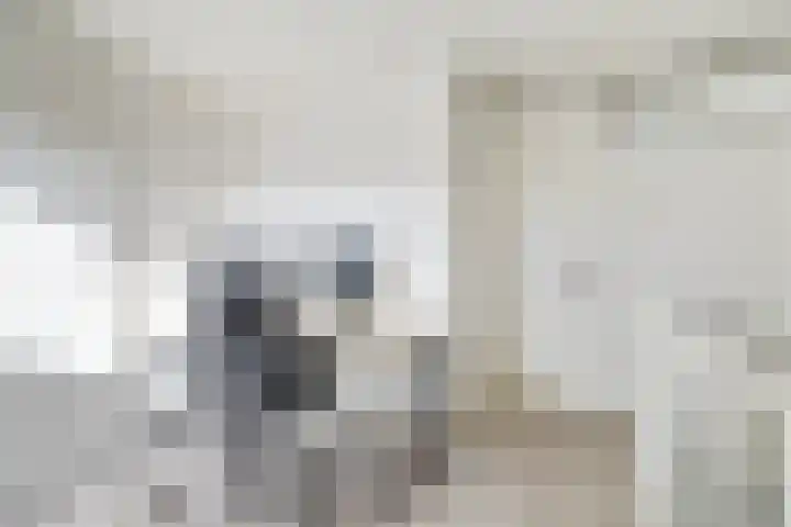 Haspel 8 Beuningen Gld thumbnail 34