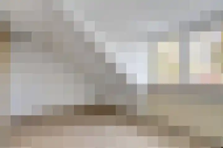 Haspel 8 Beuningen Gld thumbnail 35