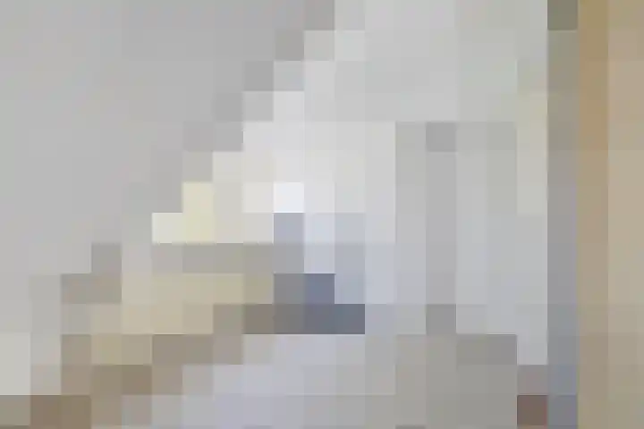 Haspel 8 Beuningen Gld thumbnail 36