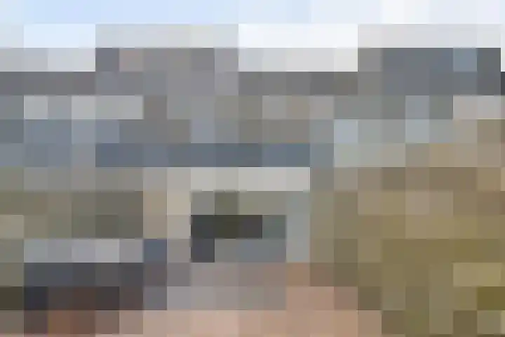 Haspel 8 Beuningen Gld thumbnail 37
