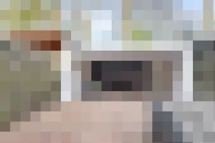 Haspel 8 Beuningen Gld thumbnail 38