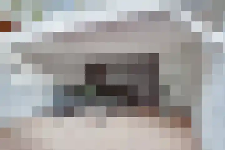 Haspel 8 Beuningen Gld thumbnail 39