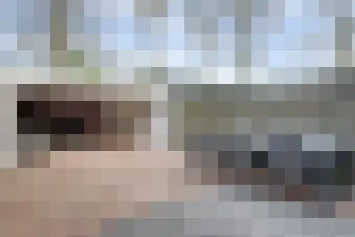 Haspel 8 Beuningen Gld thumbnail 40