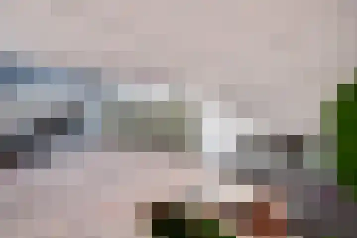 Haspel 8 Beuningen Gld thumbnail 41