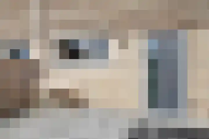 Haspel 8 Beuningen Gld thumbnail 44