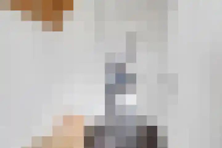 Haspel 8 Beuningen Gld thumbnail 7