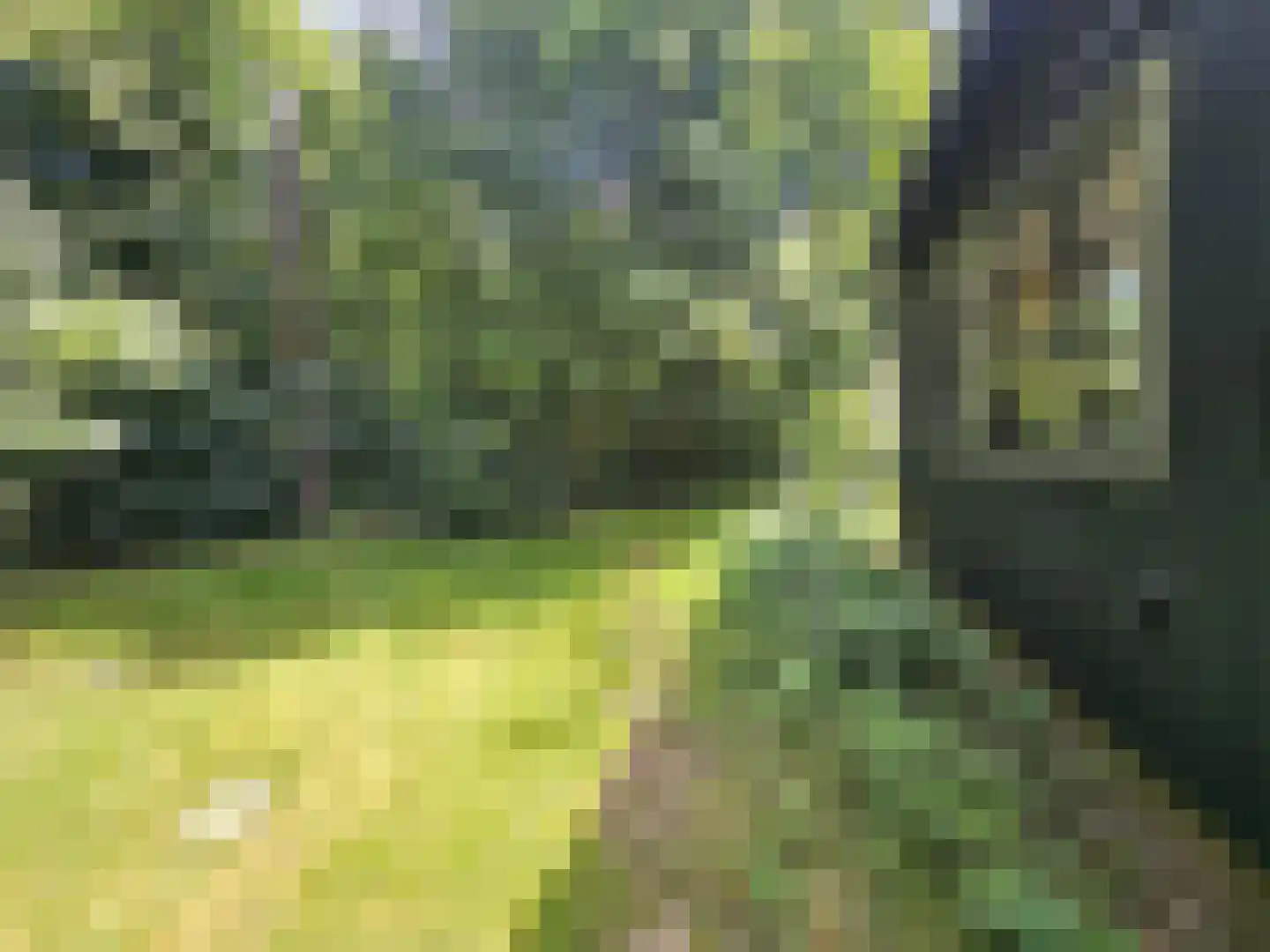 Haspel 93 12 Ermelo thumbnail 15
