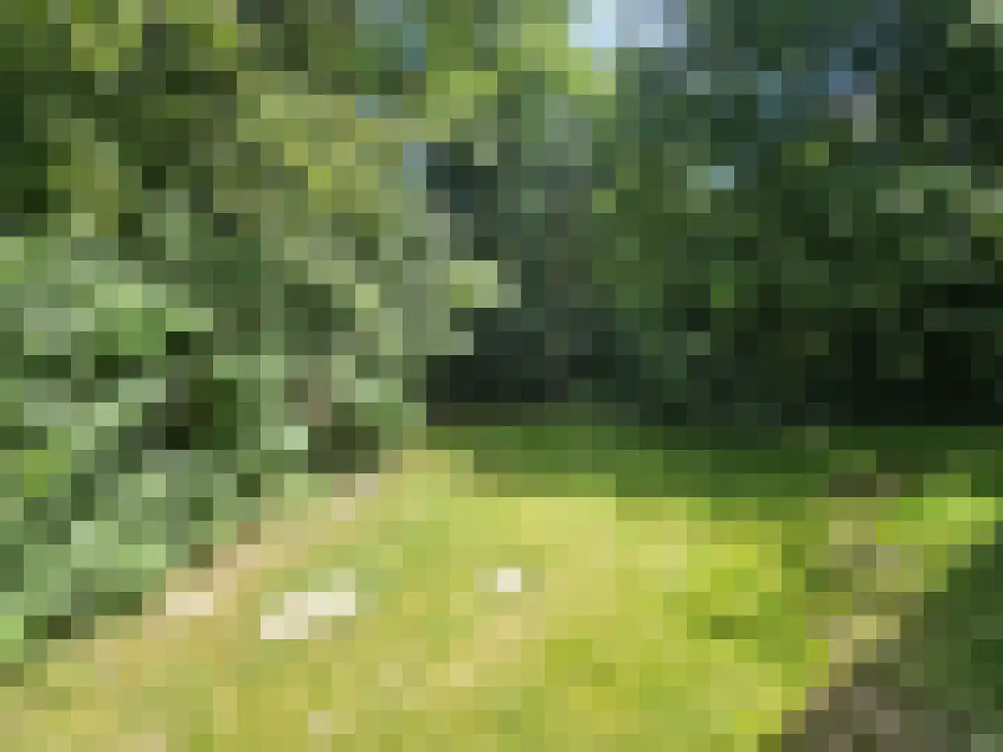 Haspel 93 12 Ermelo thumbnail 16
