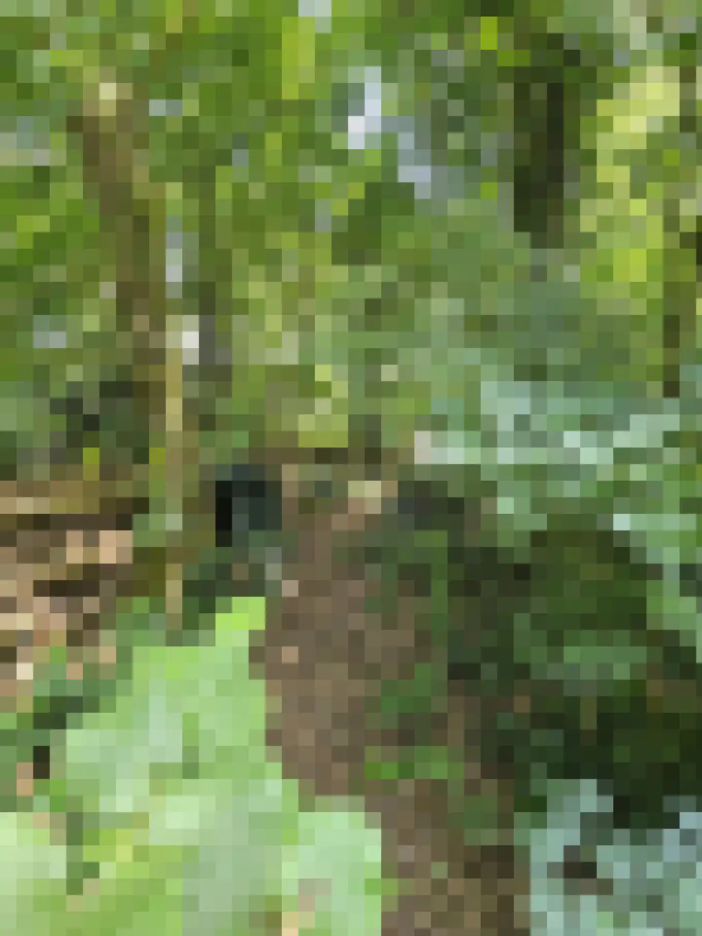 Haspel 93 12 Ermelo thumbnail 17