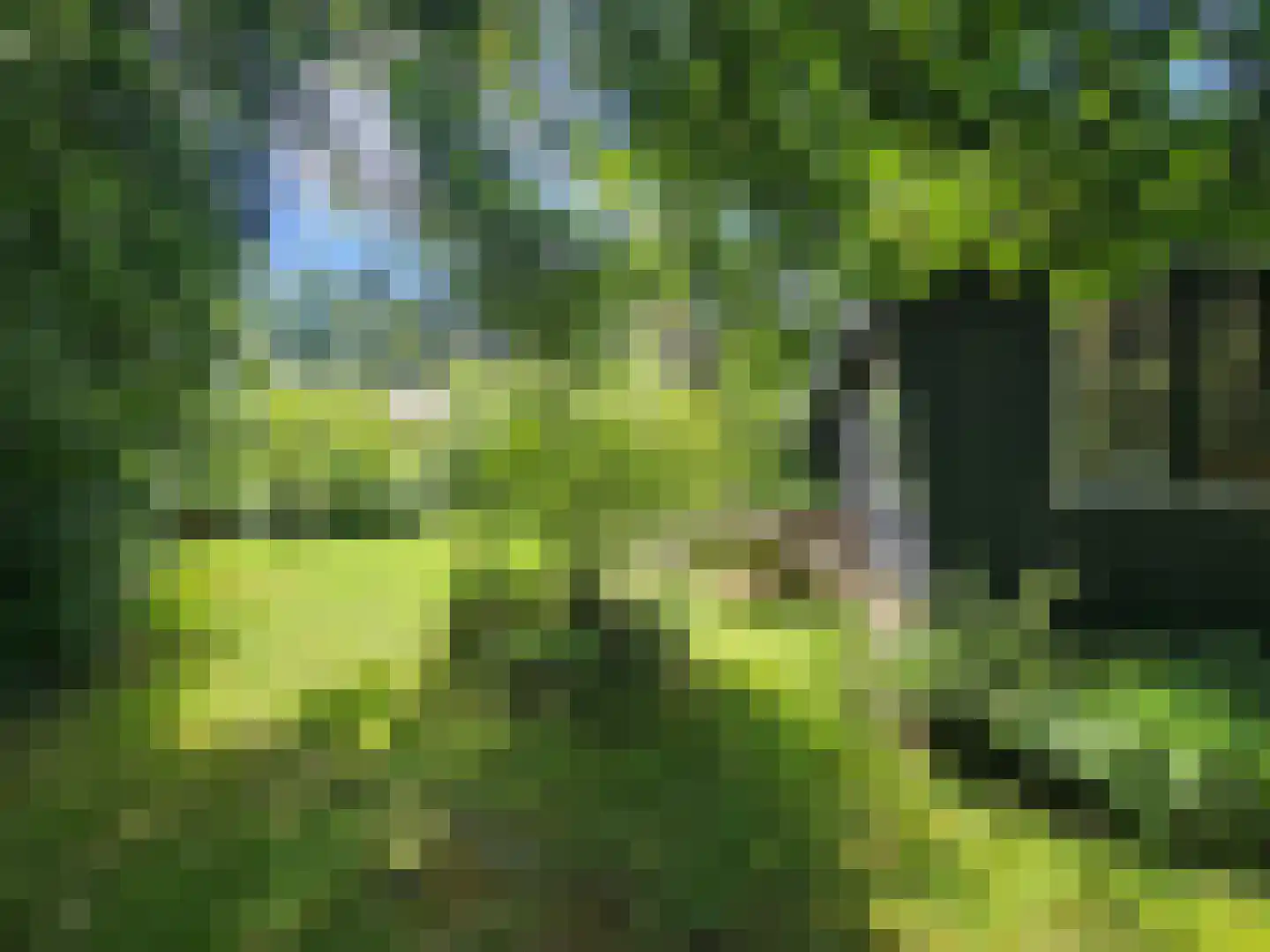 Haspel 93 12 Ermelo thumbnail 19