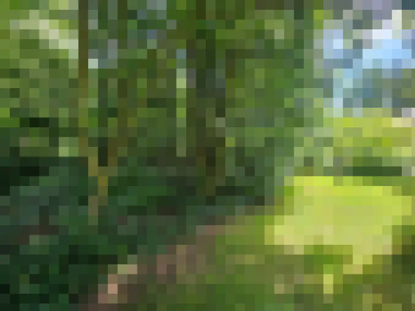 Haspel 93 12 Ermelo thumbnail 20