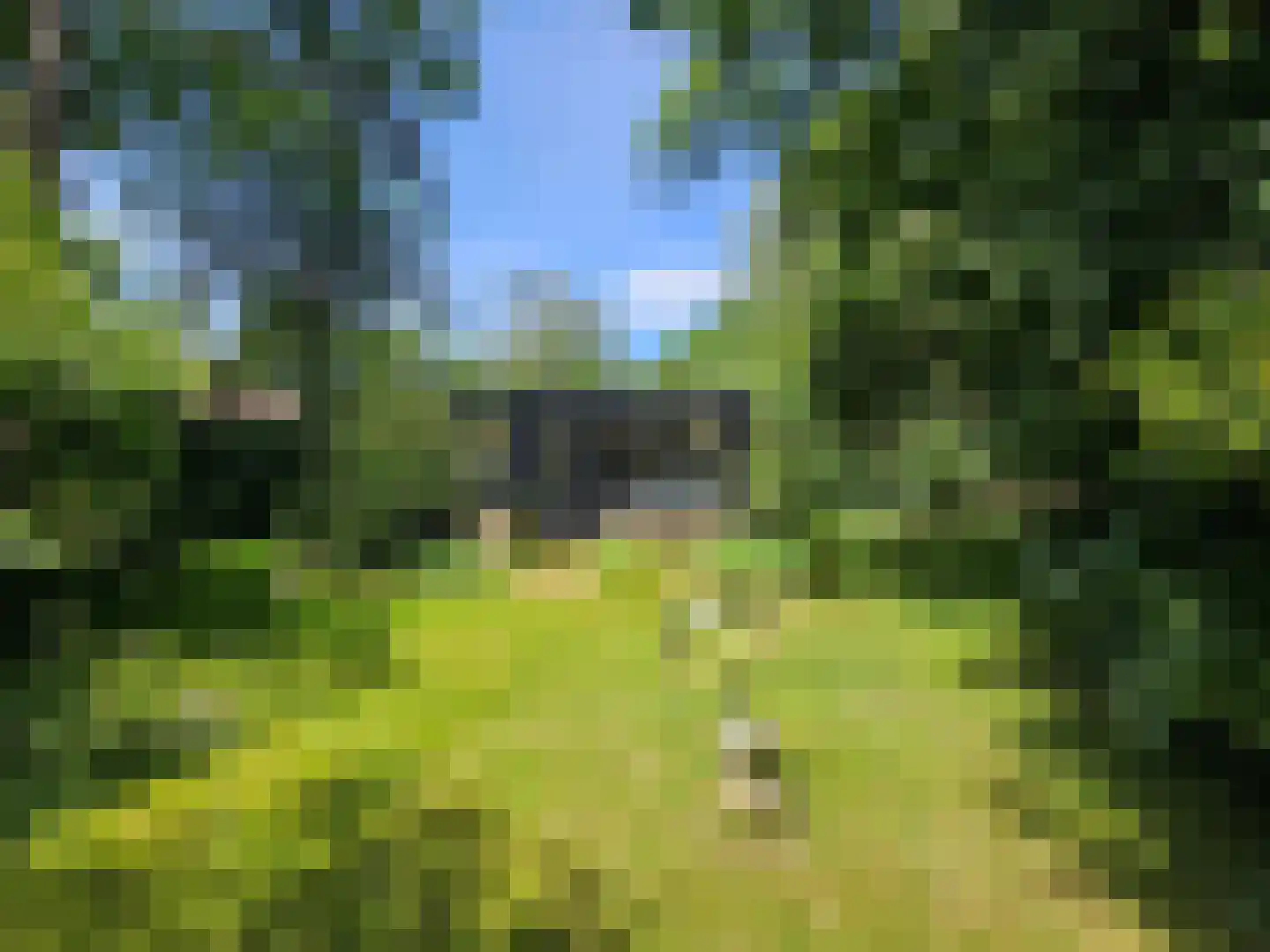 Haspel 93 12 Ermelo thumbnail 22