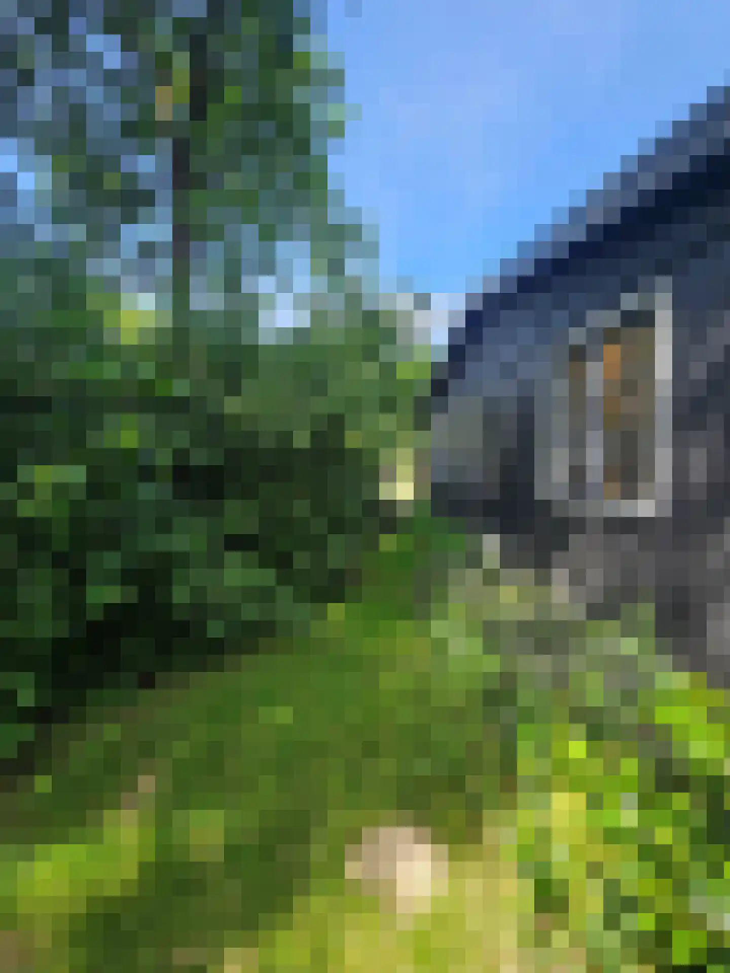 Haspel 93 12 Ermelo thumbnail 25