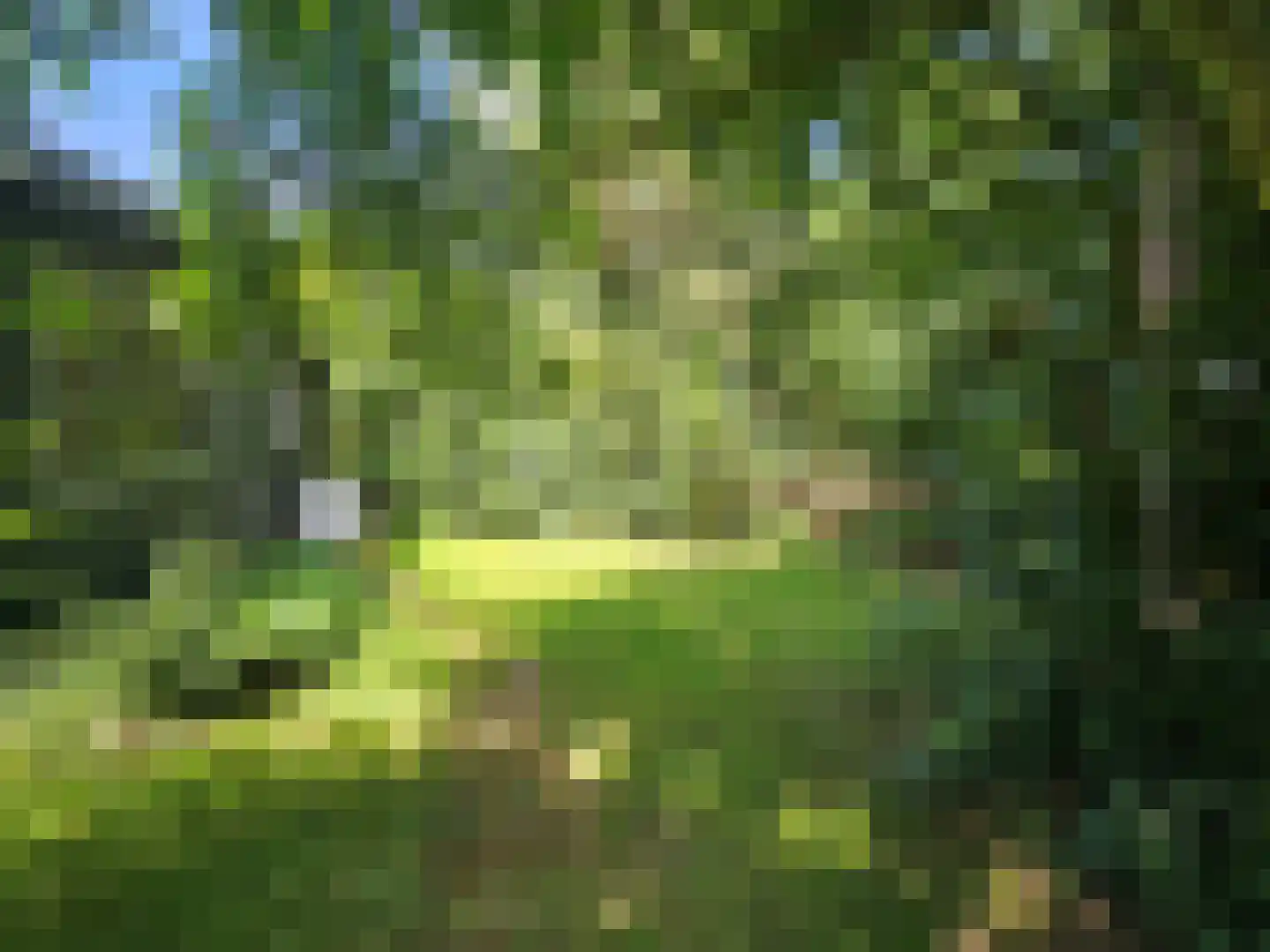 Haspel 93 12 Ermelo thumbnail 28
