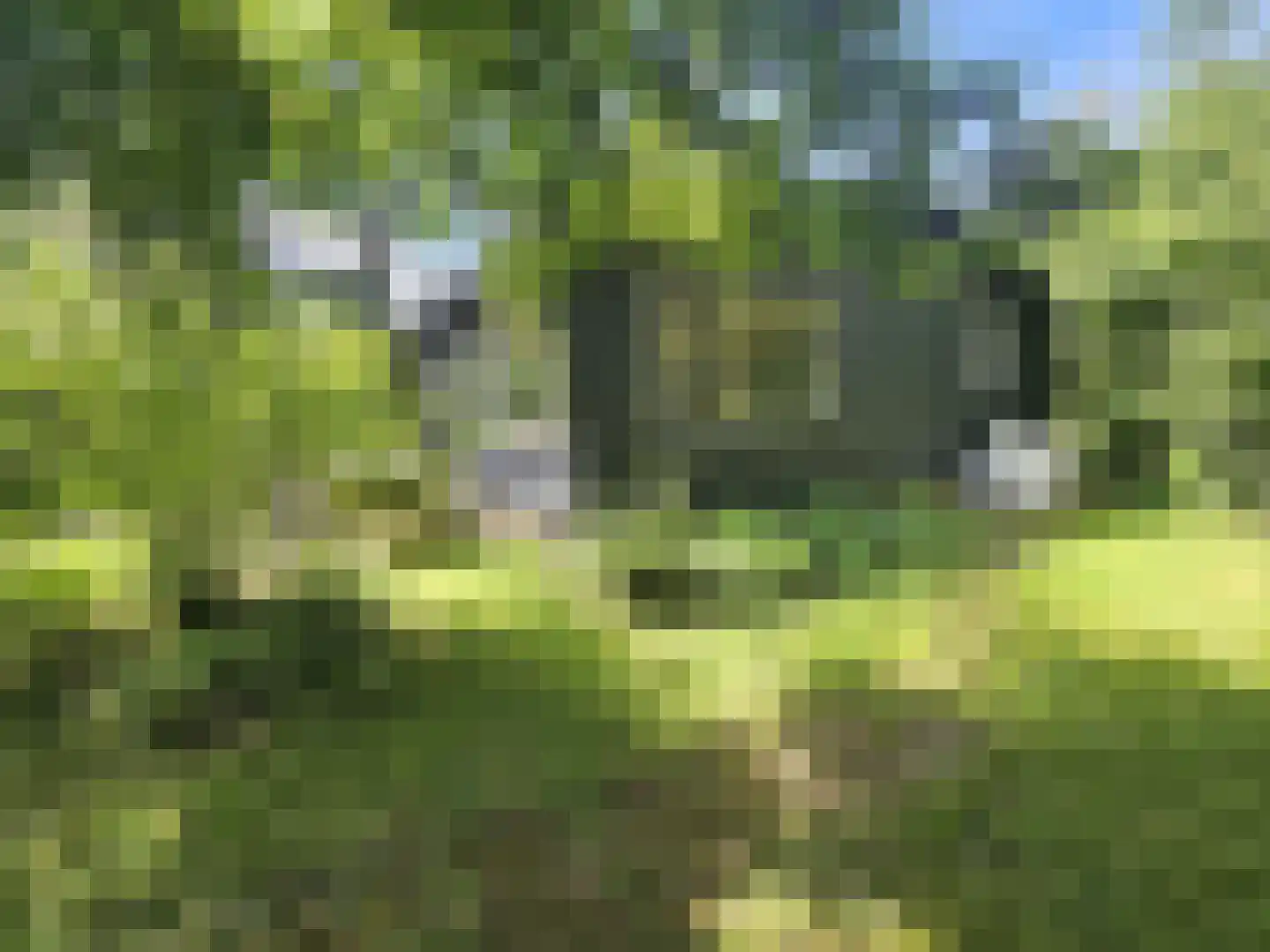 Haspel 93 12 Ermelo thumbnail 29