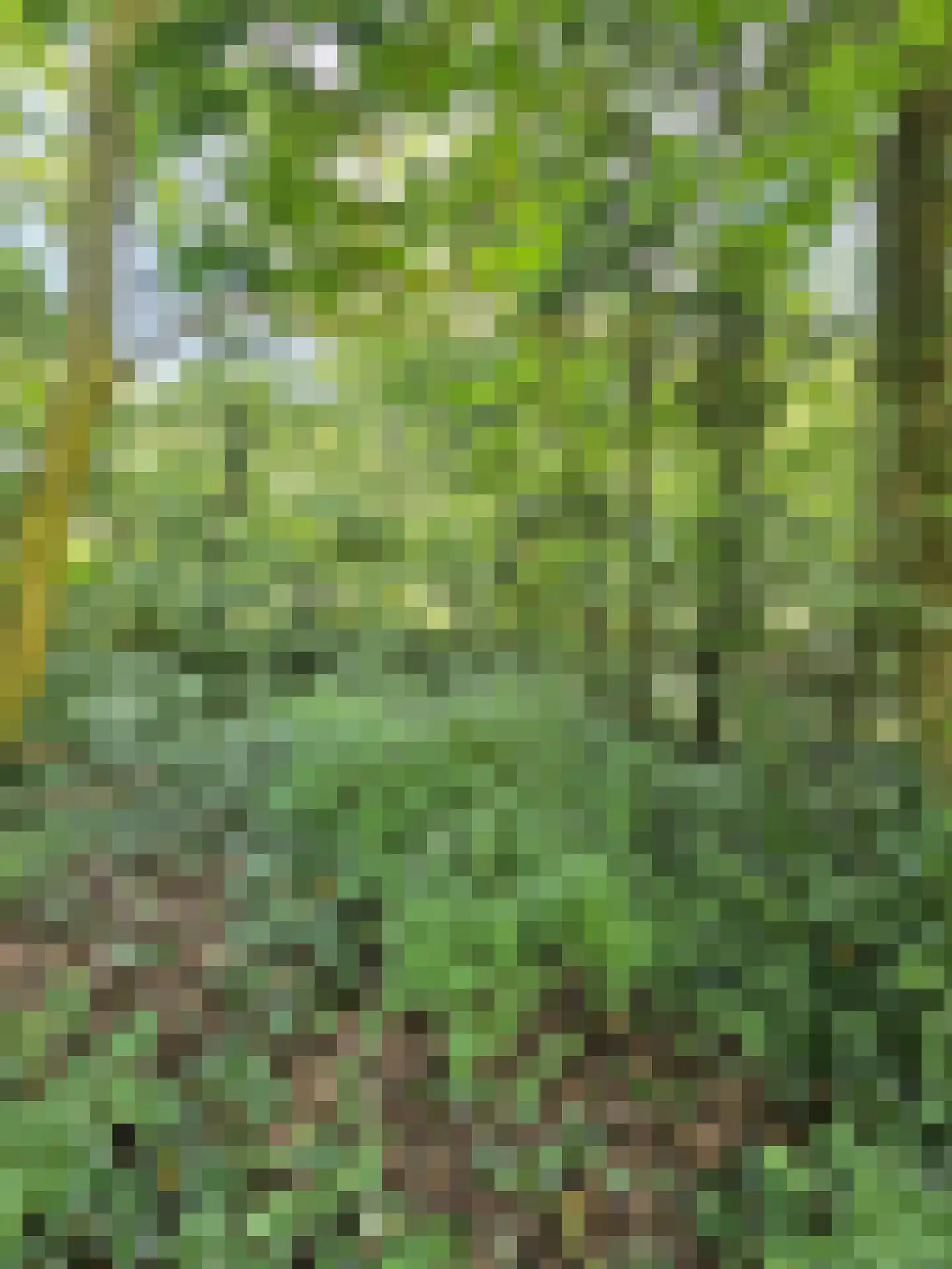Haspel 93 12 Ermelo thumbnail 30