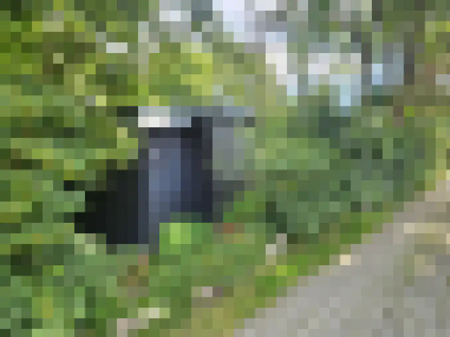 Haspel 93 12 Ermelo thumbnail 31