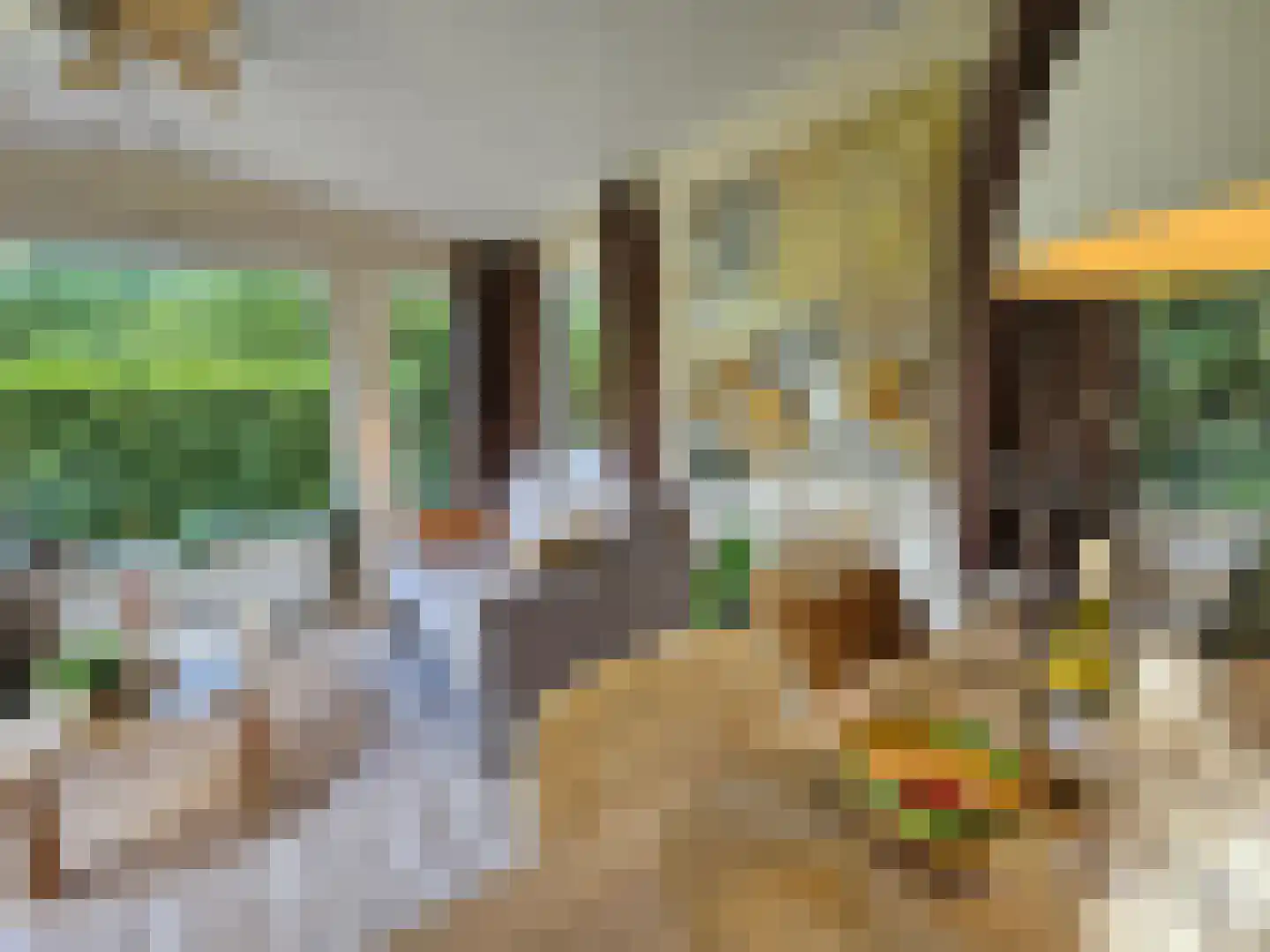 Haspel 97 15 Ermelo thumbnail 10