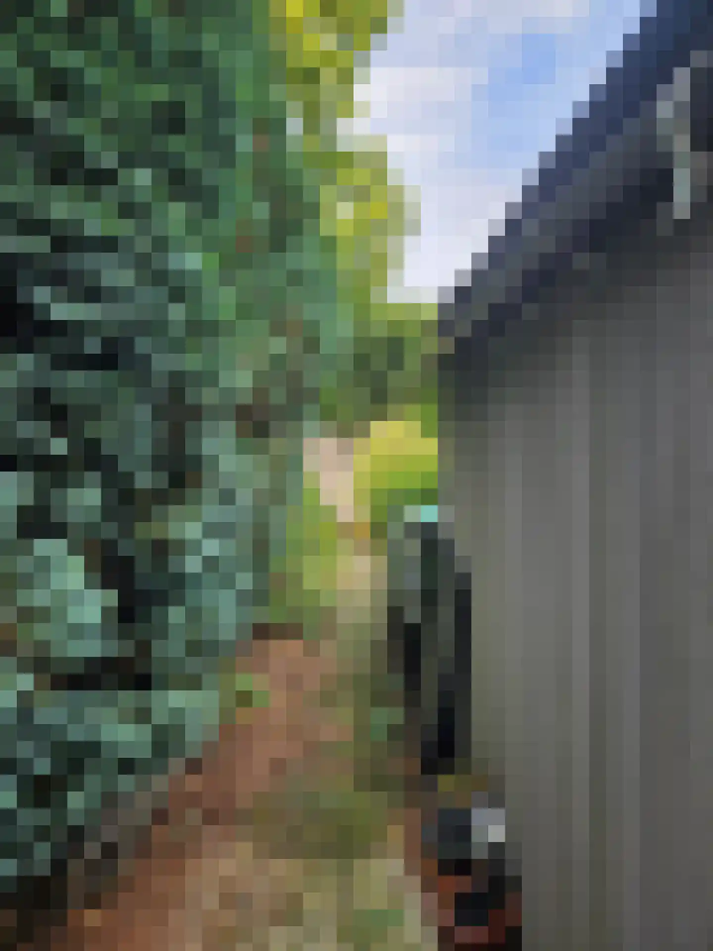 Haspel 97 15 Ermelo thumbnail 28