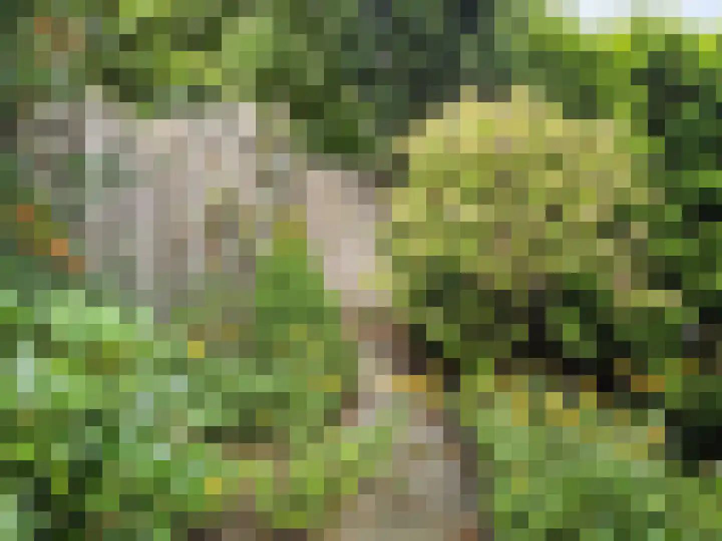Haspel 97 15 Ermelo thumbnail 29