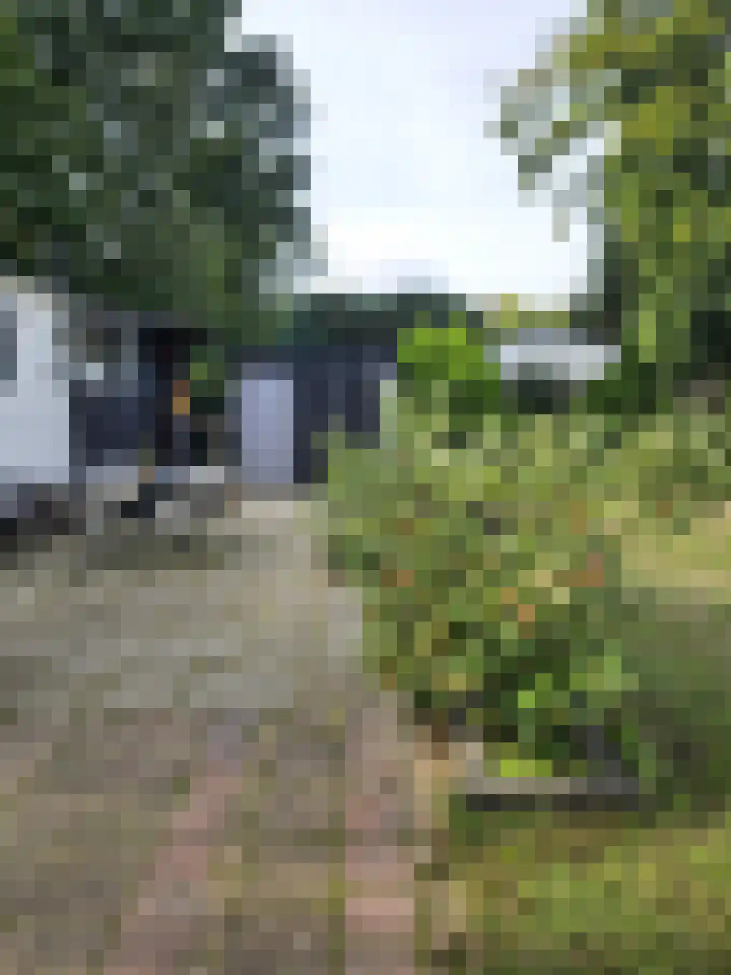 Haspel 97 15 Ermelo thumbnail 30