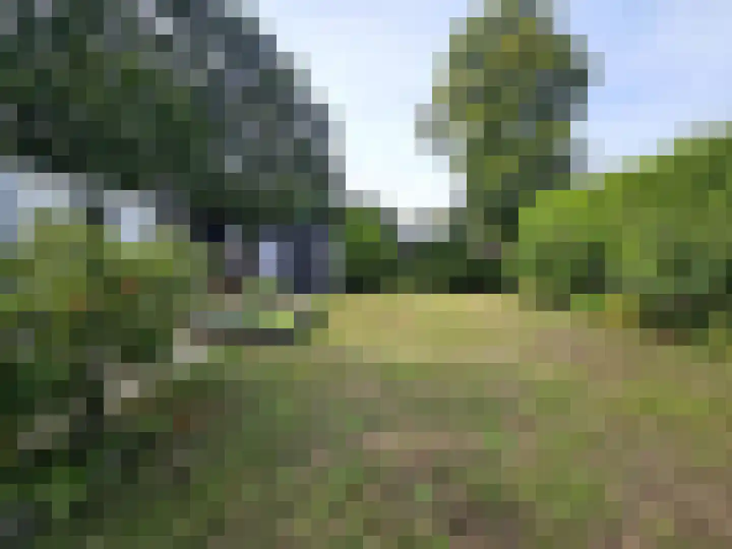 Haspel 97 15 Ermelo thumbnail 40