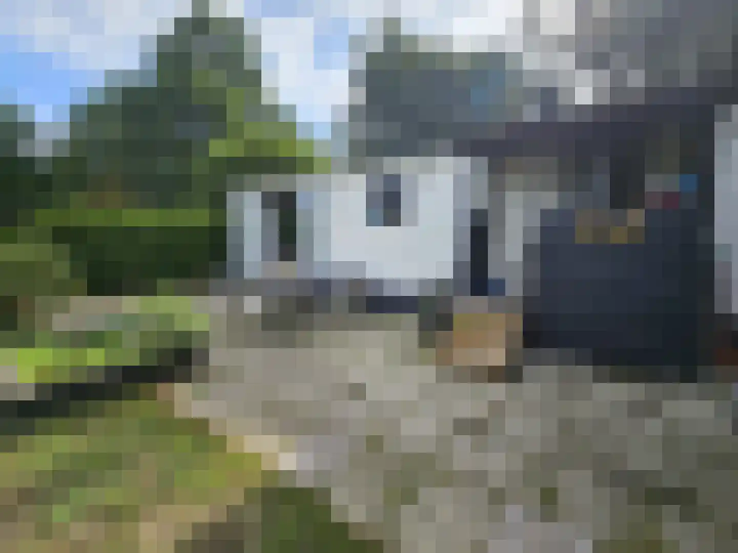 Haspel 97 15 Ermelo thumbnail 42