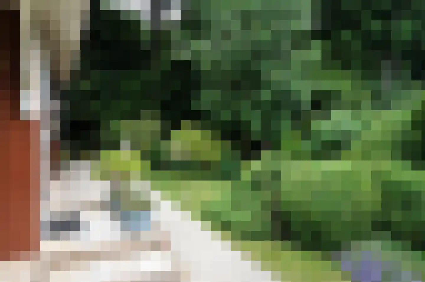 Haspel 97 32 Ermelo thumbnail 16